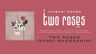 Avishai Cohen - Two Roses (w/ Mark Guiliana, Elchin Shirinov & Gothenburg Symphony Orchestra)