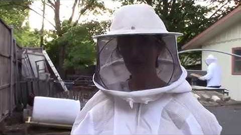 See how to correct cross comb & what causes it