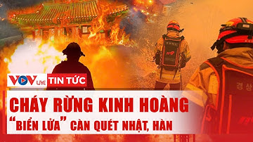 Cháy rừng chưa từng có ở Hàn, Nhật: Biển lửa càn quét, nhiều người thiệt mạng | VOV LIVE