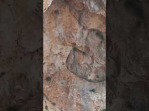 اگه ملات همرنگ ندیده اید اینو ببینید