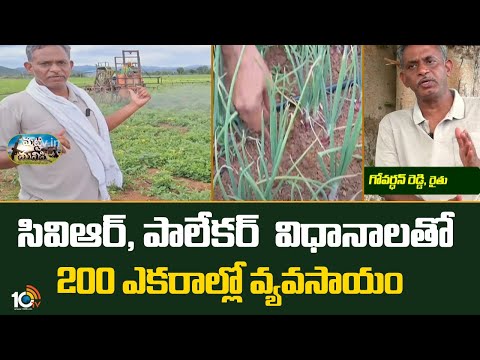 Farming with CVR & Palekar methods | సివిఆర్, పాలేకర్ విధానాలతో 200 ఎకరాల్లో వ్యవసాయం |Matti Manishi - 10TVNEWSTELUGU