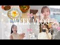 みるきーの1週間🎀食事,サプリ,運動,美容,お仕事