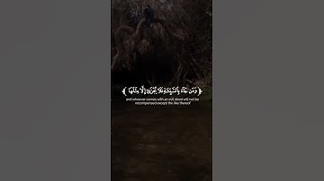 تلاوة عطرة من سورة الأنعام للقارئ رعد الكردي #quran #قرآن #تلاوة_خاشعة #اذكروا_الله_يذكركم #أذكار