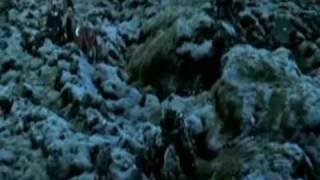 Sigur Ros Olsen Olsen Heima