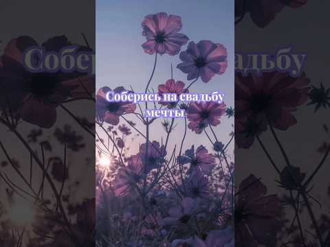 Соберись на свадьбу мечты #выбирашки #vs #мечта #свадьба #выбери