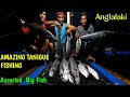 AMAZING BIG TANIGUE FISHING IN BICOL PHILIPPINES | KUMAIN KA NG  HILAW NA TANIGUE BOY TAPANG