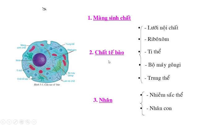 Giải bài tập môn sinh học lớp 8 bài 3 năm 2024