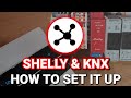 Connecting Shelly to KNX - Step by Step