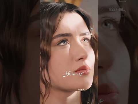 عيونه لما قابلوني زينب و خليل تل الرياح      ح95 