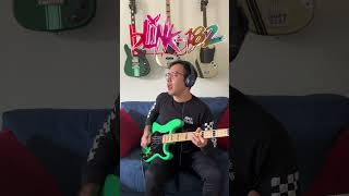 Blink-182 - More Than You Know Bass Cover #Blink182 #MarkHoppus #OneMoreTime
