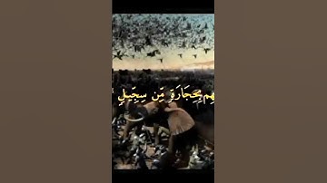 سورة الفيل مع تصوير الأحداث الربط في التعليق المثبت