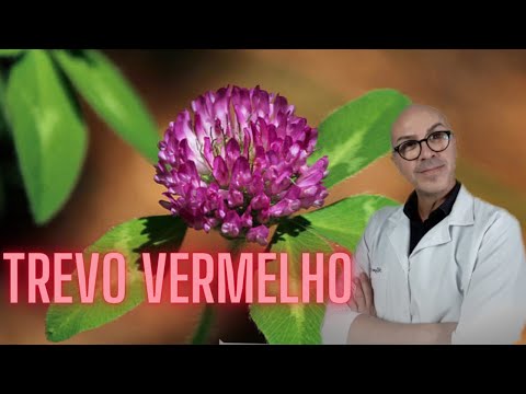 Vídeo: Trevo Vermelho - Descrição, Propriedades, Aplicação Raiz