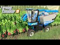 Sadownictwo w Farming Simulator 19