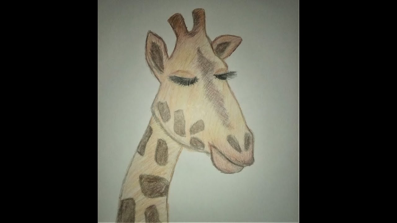 PODNEBNÉ PÁSY  -    1) Tropický pás 5. třída