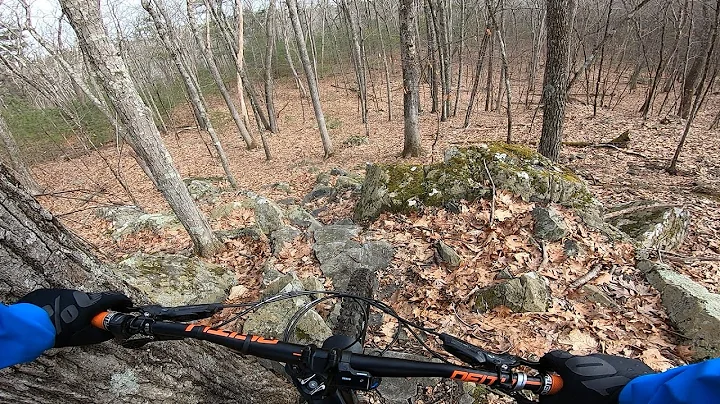 Exploring Black Diamonds in Harold Parker State Forest.