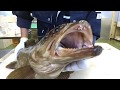 クオリティの高いクエを仕立てる編 vol.59