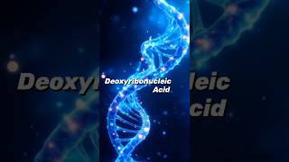 What is DNA? Explained in 60 Seconds!