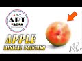 APPLE Digital Painting