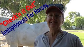 &quot;Check&#39;n Out&quot; Iontophoresis For Horses