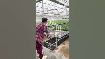 Greenhouse rolling benches