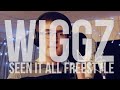 Seen it all freestyle by wiggzmusic