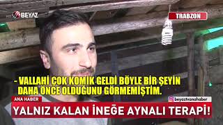 Yalniz Kalan İneğe Aynali Terapi̇ Resimi