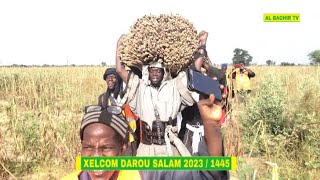 🛑 NGOOB XELCOM DAROU SALAM 2023 DISCOURS SERIGNE IBRAHIMA DRAME