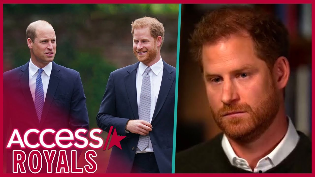 Prince Harry Admits He Wants Prince William Relationship Back