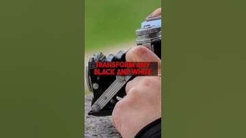 Unlock vibrant memories! Pro tips for colorizethis.io to colorize your old photos.