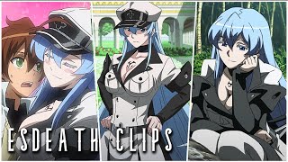 Esdeath Clips For Amv Edits Akame Ga Kill Uhd 4K