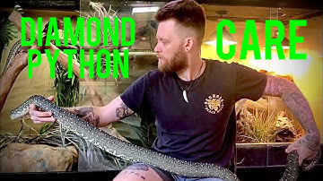Diamond python care