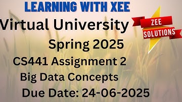 CS441 Big Data Concepts Assignment 2 Spring 2025 Virtual University of Pakistan