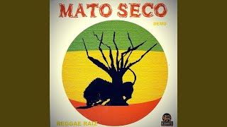 Video thumbnail of "Mato Seco - Bird in Hand"