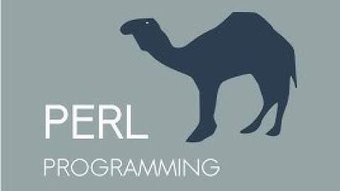 Perl Programming Android App