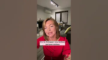 Спирулина и хлорофилл это одно и тоже / Елена Бахтина #shorts Подпишись на канал ⤵️