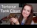 *NEW* Tortoise Enclosure Tank Clean & Setup