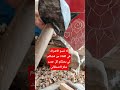 حرف الزليج البلدي المغربي اكسبلور لايك Rap حرف الزليج البلدي المغربي اكسبلور لايك Rap