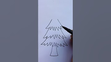 How to Draw a Pine Tree Step by Step ll Easy Line Drawing ll #pinetree #snartidea #creative