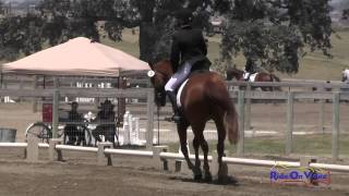 074D McKenna Goodson on Enchanted JR Beginner Novice Dressage Shepherd Ranch August 2015