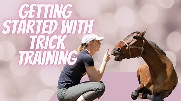 Teach your horse 3 easy tricks! (Clicker training)