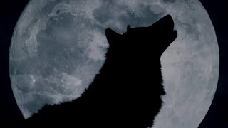 Efemero - Unbroken (Feat Suleymer & Dj Goja) (Extended Version) ➧ 4K (U)  Resimi