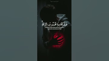(أَفَمَن شَرَحَ ٱللَّهُ صَدْرَهُۥ لِلْإِسْلَـٰمِ) جزء من سورة الزمر للقارئ (محمد اللحيدان)