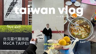 TAIWAN travel vlog 🇹🇼 yummy STREETFOOD tour 🍜visit to MoCA Taipei and souvenir shopping!!