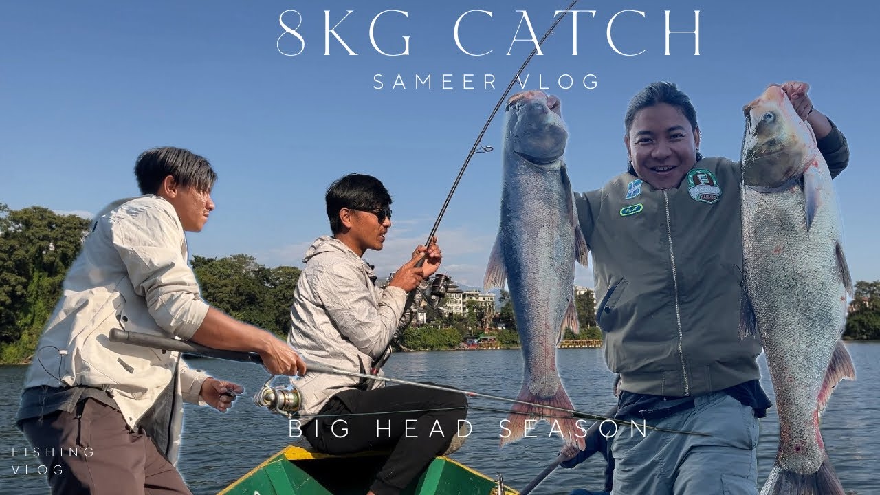 FEWA TAL MA 8KG BIG HEAD MACHA SAMAYO 😱 || FEWA LAKE || BIG HEAD SEASON || @santosh-l2o3p 