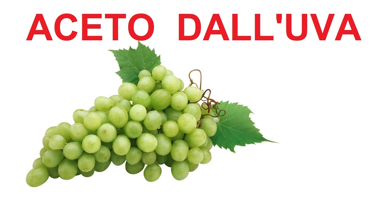Come fare aceto di vino dall' uva