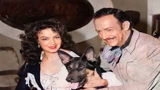 Carmela Corren           The history of love