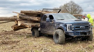 EXTREME LOGGING with the AnyLevel F350 (10TON HAUL)