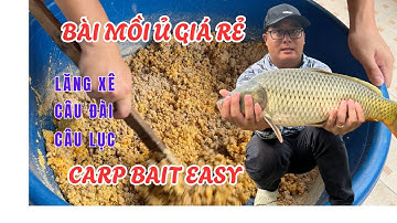 Cách làm mồi ủ câu cá Chép, Trắm, Trôi cực đơn giản - Carp fishing bait easy - Ngọc Biển Fishing