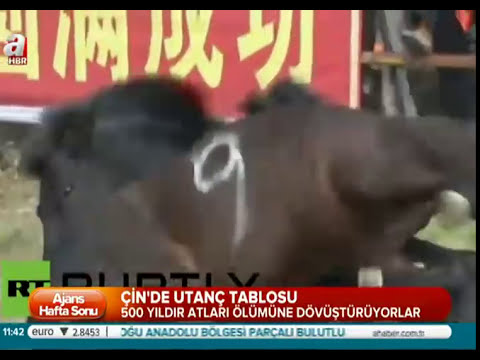 Video: CINDERELLS, GECELER VE AĞ ATLAR HAQQINDA