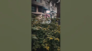 لا بقيت تسمعني و تفهمني عمرو دياب 